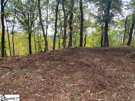 143 Raptor Way Landrum SC 29356