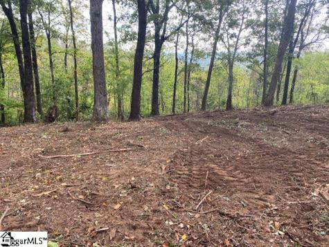 143 Raptor Way Landrum SC 29356
