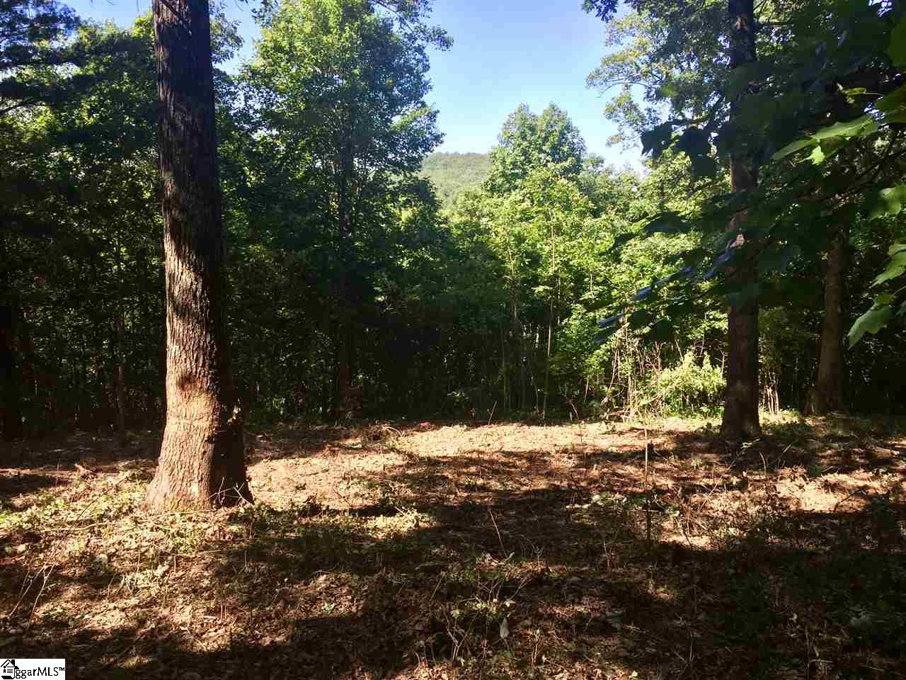 28 Wild Ginger Road Landrum SC 29356