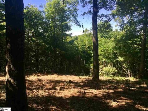 28 Wild Ginger Road Landrum SC 29356