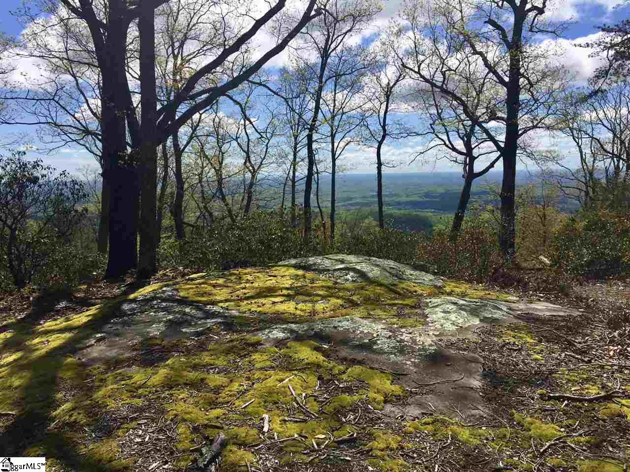 401 Stony Road Landrum SC 29356
