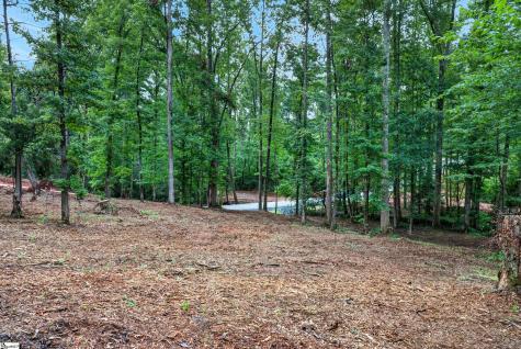 223 W Chapman Road Belton SC 29627