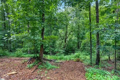 223 W Chapman Road Belton SC 29627