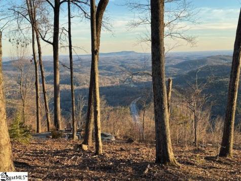 1534 Panther Park Trail Travelers Rest SC 29690