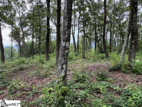 1534 Panther Park Trail Travelers Rest SC 29690