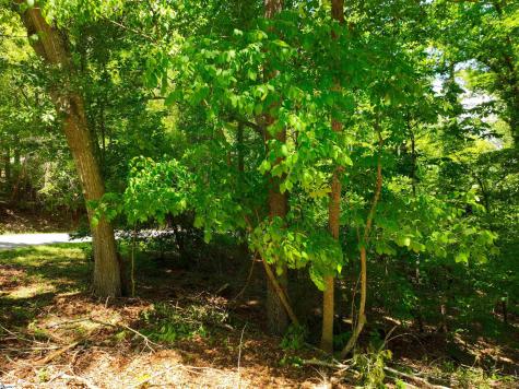 418 Pin Du Lac Drive Central SC 29630