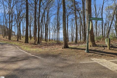 Rose Pink Trail Landrum SC 29356