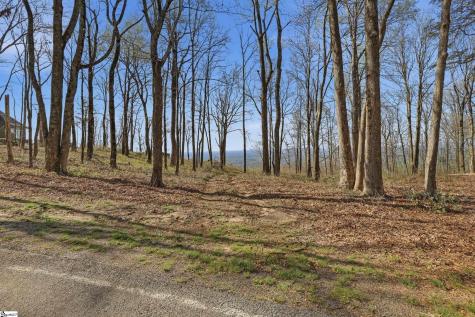 Rose Pink Trail Landrum SC 29356