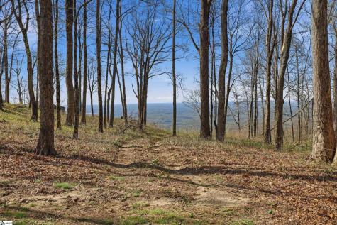 Rose Pink Trail Landrum SC 29356