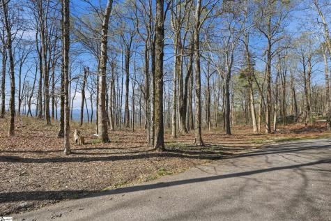 Rose Pink Trail Landrum SC 29356