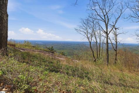 Rose Pink Trail Landrum SC 29356