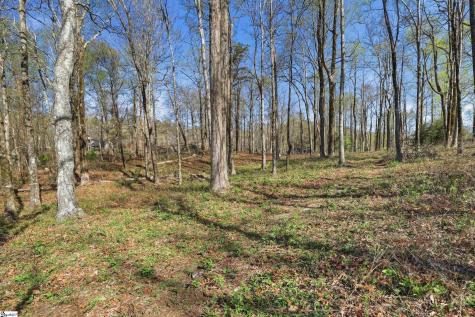 Rose Pink Trail Landrum SC 29356