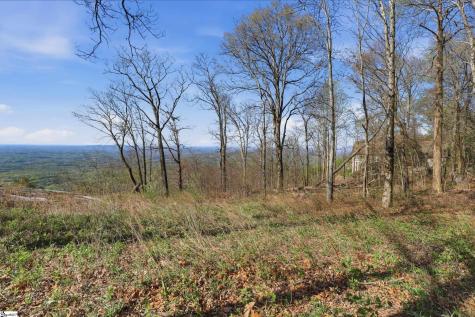 Rose Pink Trail Landrum SC 29356