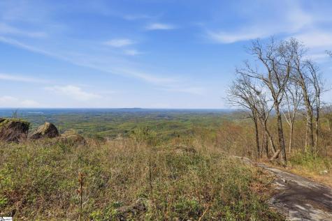 Rose Pink Trail Landrum SC 29356