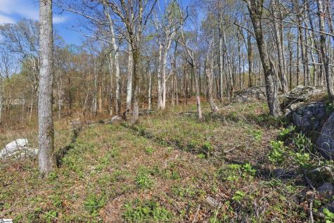 Rose Pink Trail Landrum SC 29356