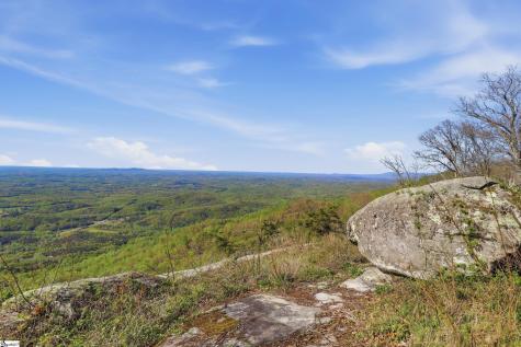 Rose Pink Trail Landrum SC 29356