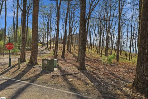 Rose Pink Trail Landrum SC 29356