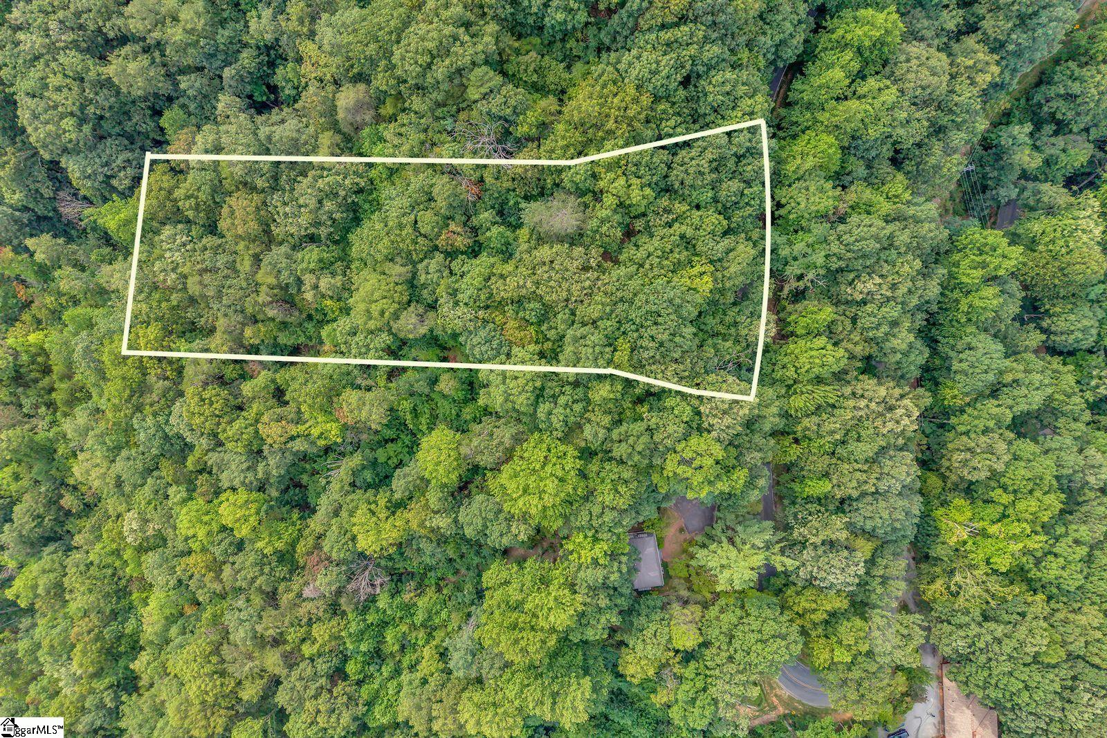 00 Hogback Mountain Road Tryon NC 28782