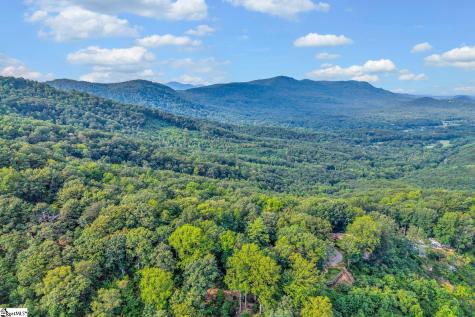00 Hogback Mountain Road Tryon NC 28782