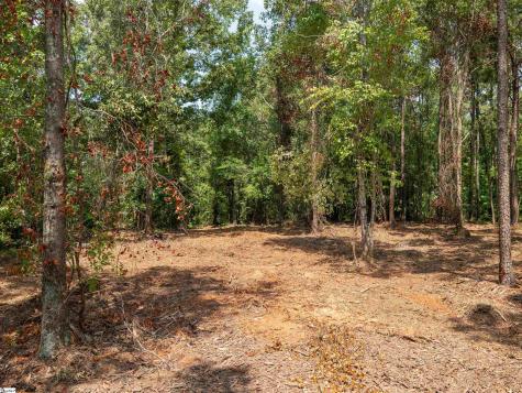 00 Cheek Road Gray Court SC 29645