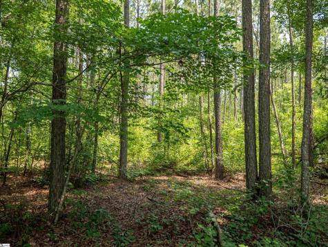 00 Cheek Road Gray Court SC 29645