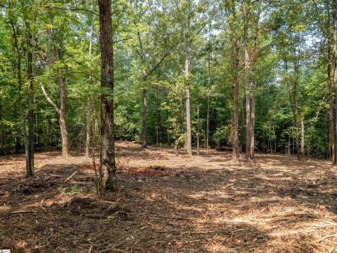 00 Cheek Road Gray Court SC 29645