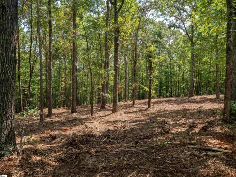 00 Cheek Road Gray Court SC 29645