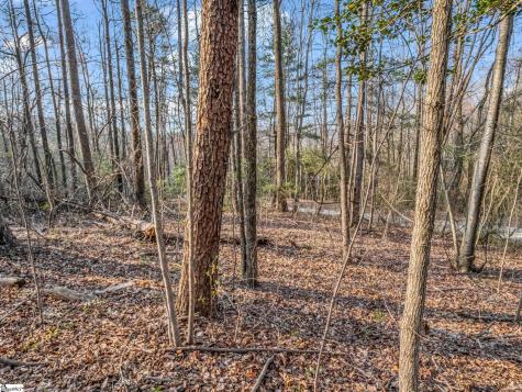 Tbd Mountain Lakes Drive Tryon NC 28782