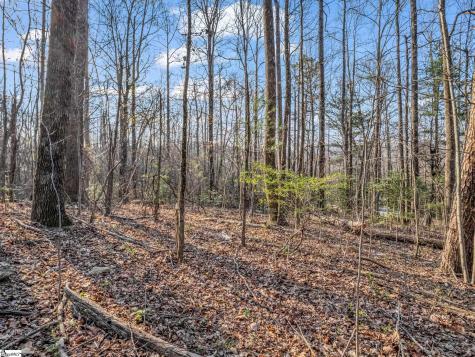 Tbd Mountain Lakes Drive Tryon NC 28782