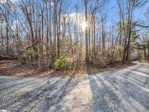 Tbd Mountain Lakes Drive Tryon NC 28782