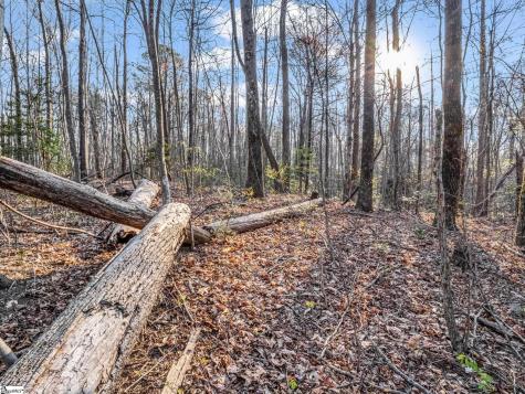 Tbd Mountain Lakes Drive Tryon NC 28782