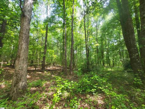 162 Courtney Road Cowpens SC 29330