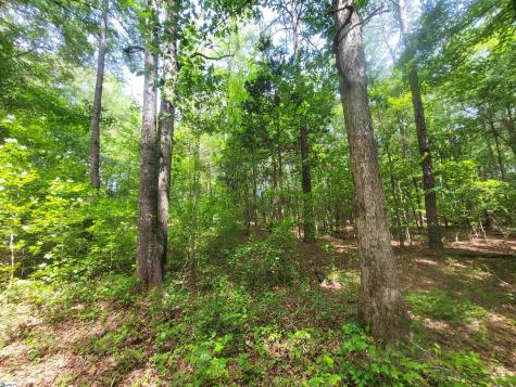 162 Courtney Road Cowpens SC 29330