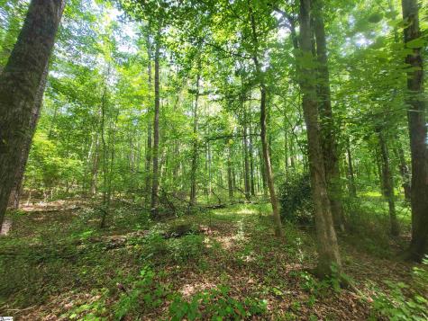 162 Courtney Road Cowpens SC 29330
