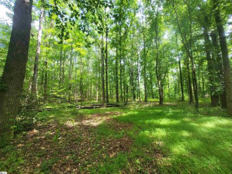 162 Courtney Road Cowpens SC 29330