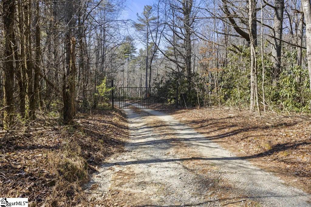 3772 Bear Paw Ridge Road Zirconia NC 28790
