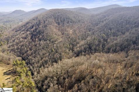 3772 Bear Paw Ridge Road Zirconia NC 28790