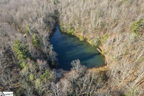 3772 Bear Paw Ridge Road Zirconia NC 28790