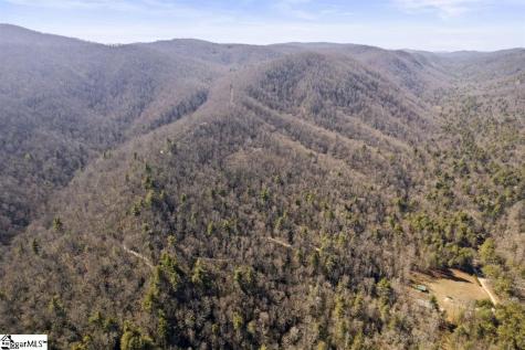 3772 Bear Paw Ridge Road Zirconia NC 28790