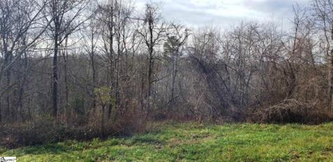 00 Lockhart Circle Landrum SC 29356
