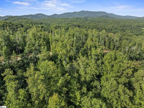 625 Chinquapin Road Travelers Rest SC 29690