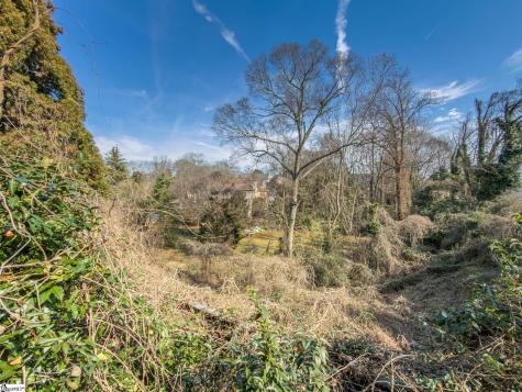 351 Pine Forest Drive Extension Greenville SC 29601