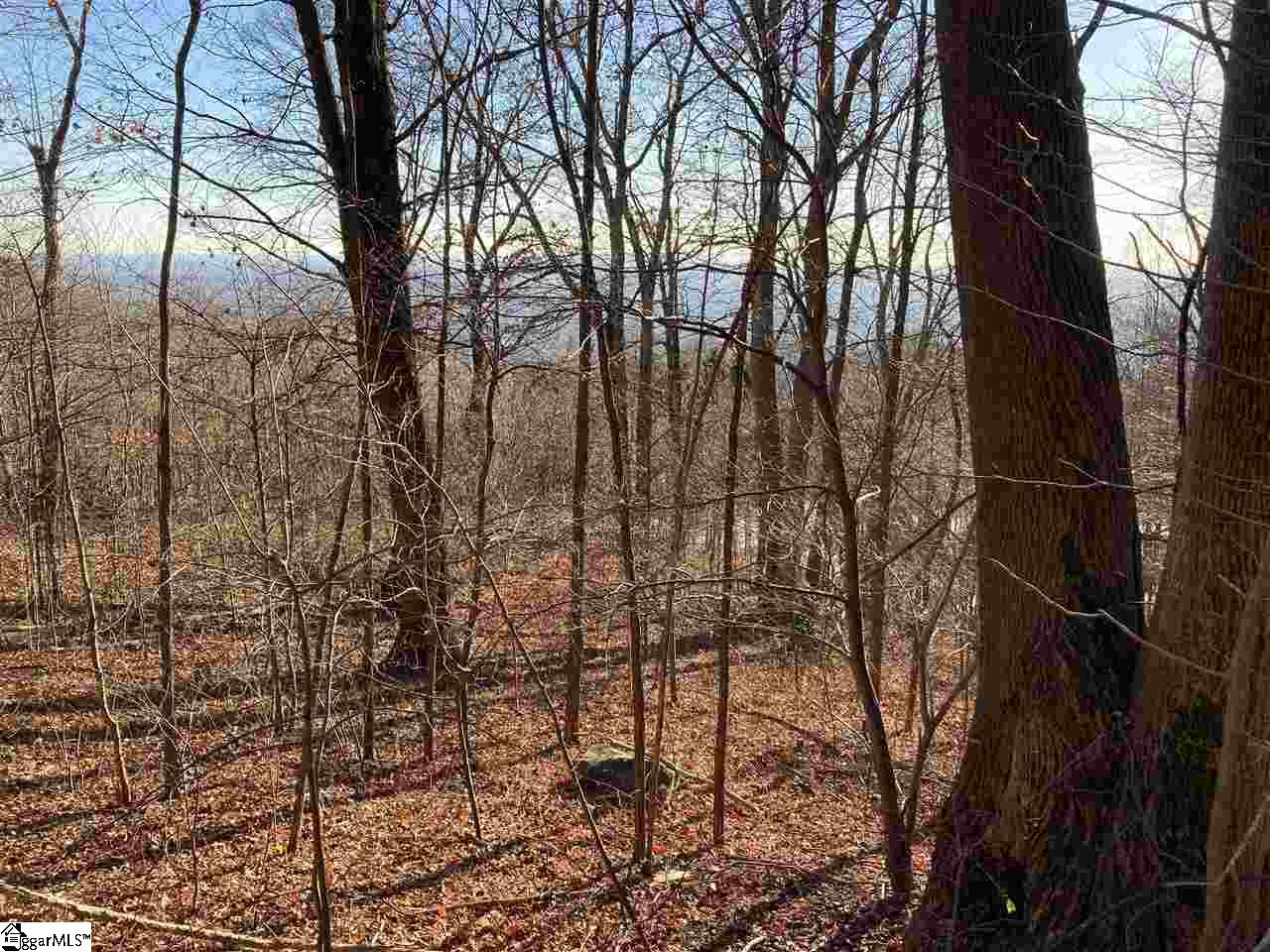 Stonesthrow Drive Landrum SC 29356
