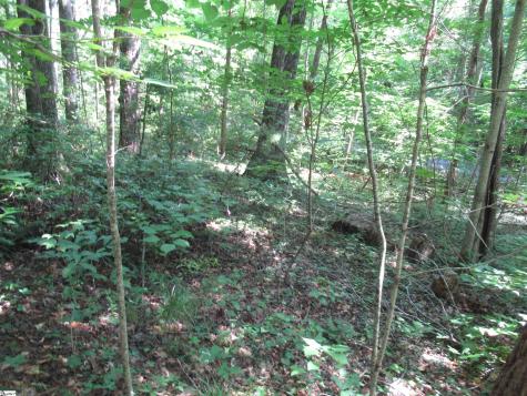 00 Gauley Falls Road Pickens SC 29671