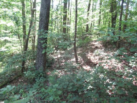 00 Gauley Falls Road Pickens SC 29671
