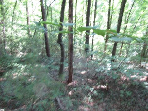00 Gauley Falls Road Pickens SC 29671