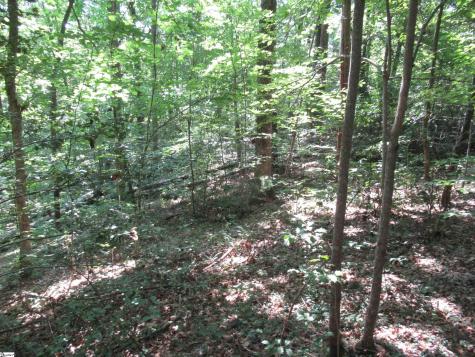 00 Gauley Falls Road Pickens SC 29671