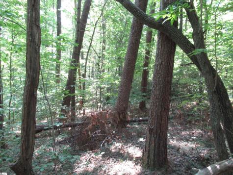 00 Gauley Falls Road Pickens SC 29671