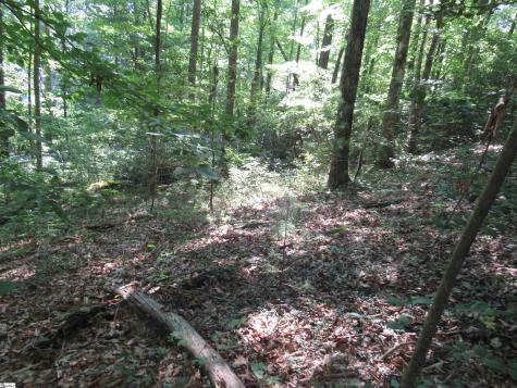 00 Gauley Falls Road Pickens SC 29671