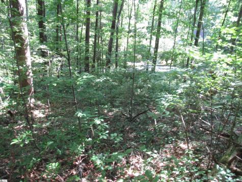00 Gauley Falls Road Pickens SC 29671